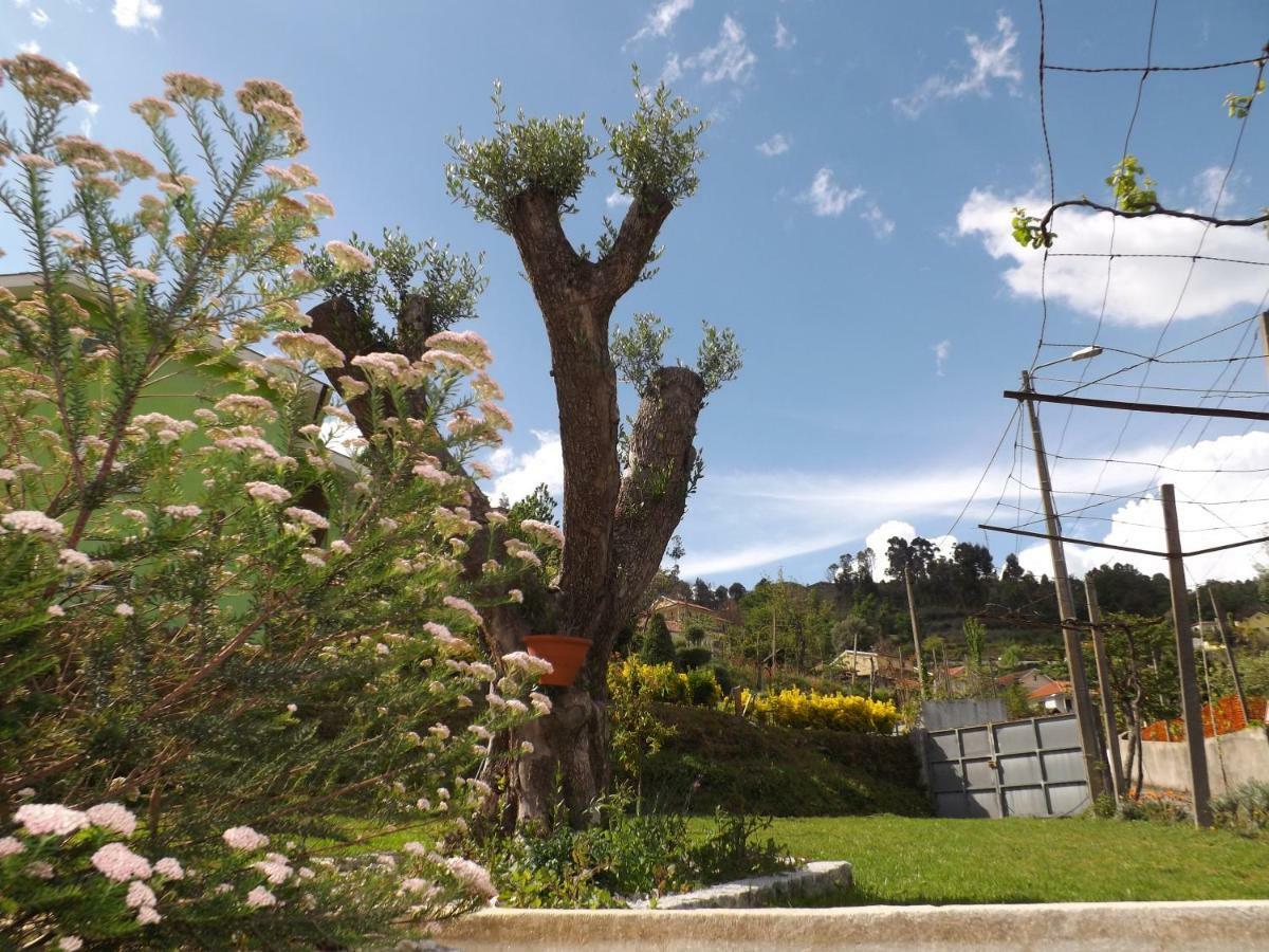 فيلا Casa Oliveira Grovelas المظهر الخارجي الصورة
